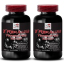 증가 성 드라이브 - TRIBULUS TERRESTRIS EXTRACT - 에너지 소스에 대한 Tribulus terrestris 추출물, 남성과 여성을위한 성 드라이브 알약, Libido booster - 2 병 180 정제