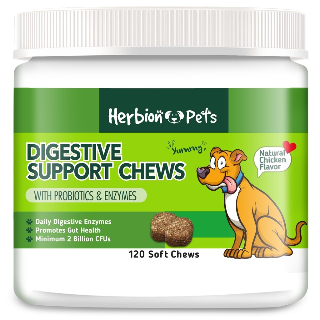 Herbion Pets Probiotics & Enzymes, 120 Soft Chews, 개선 된 Gut 건강, 최소 2 억 CFUs, 개 12 Weeks +, 팩 1에 대한 미국에서 만든 소화 지원 Chews