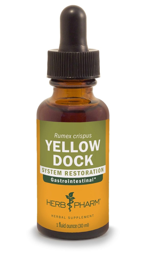 소화 시스템 지원을위한 허브 Pharm Yellow Dock 액체 추출물 - 1 Ounce