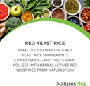 NaturesPlus 초본 활성 레드 효모 쌀 - 120 채식 캡슐, 2 팩 - 최대 효능 초본 보충 - 글루텐 무료 - 240 총 서빙