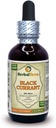 블랙 커런트 (Ribes nigrum) Tincture, 건조 정제 액체 추출 (브랜드 이름: HerbalTerra, Proudly Made in USA) 2 fl.oz (60 ml)