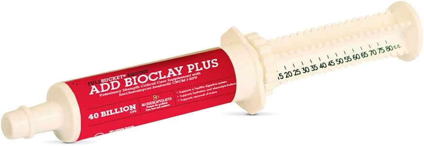 FullBucket 건강 추가 BioClay 플러스 페이스트 80CC