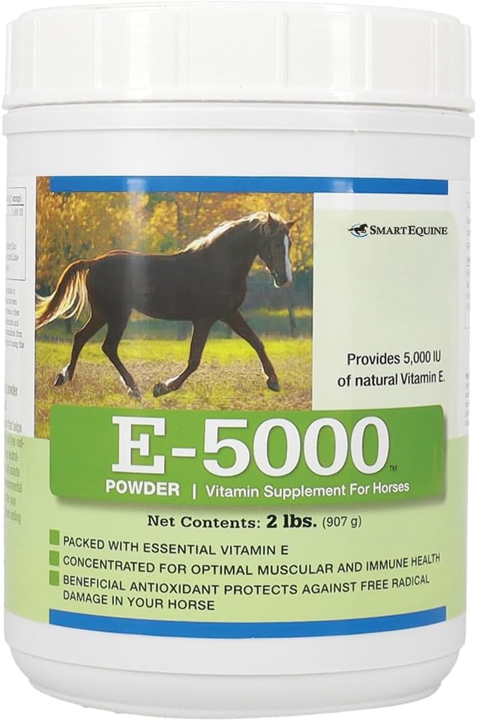 E5000 Powder | 비타민 E for Horse | 비타민 E 보충제와 비타민 E 보충제 지원 | 최적의 근육 및 웰빙 지원에 집중 | 2 lb
