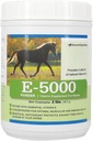 E5000 Powder | 비타민 E for Horse | 비타민 E 보충제와 비타민 E 보충제 지원 | 최적의 근육 및 웰빙 지원에 집중 | 2 lb