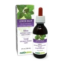 Naturalma Lemon Balm (멜리사 officinalis) 잎 알코올 - 무료 색소 - 4 fl oz 액체 추출물 드롭 - 초본 보충 - Vegan