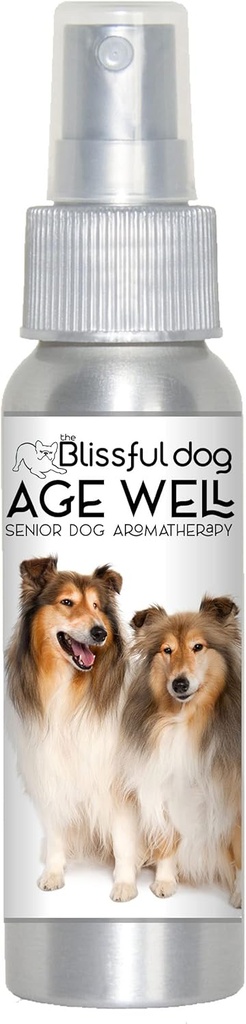 The Blissful 개 Shetland Sheepdog 나이 좋은 살포 Aromatherapy