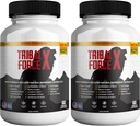 Tribal Force X Extra Strength 천연 보충, 60 정제, 글루텐 무료, 비 GMO, 30 일 공급 (2)