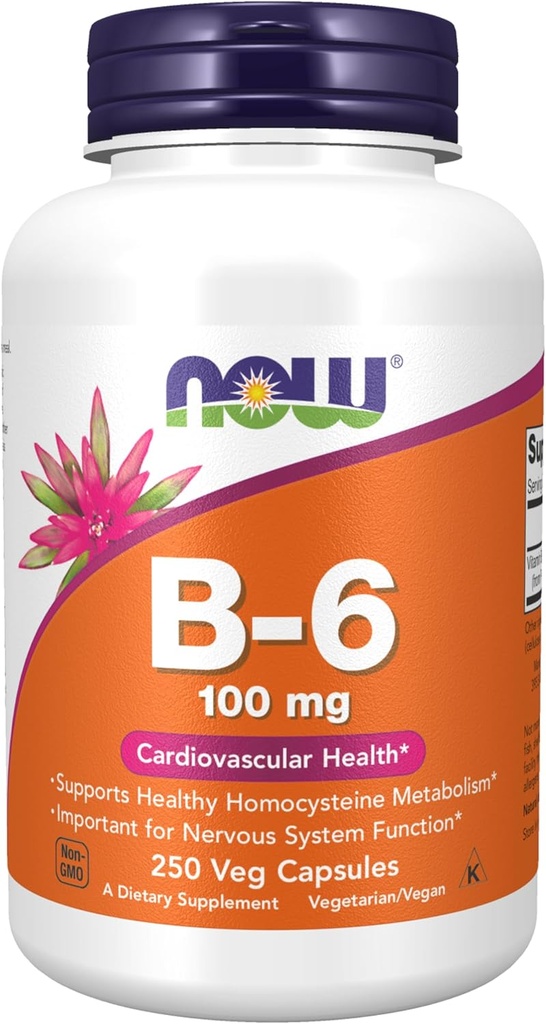 NOW 식품 보충제, 비타민 B-6 (Pyridoxine HCl) 100 mg, 심장 혈관 건강, 250 Veg 캡슐