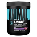 동물 주스 아미노산 - BCAA 분말 EAA 모체 플러스 Electrolytes와 바다 소금 언제나 회복과 개량한 성과, 포도 풍미, 30의 서빙을 가진 Hydration