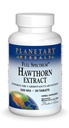 행성 초본 가득 차있는 스펙트럼 Hawthorn 추출물 정제, 30 조사
