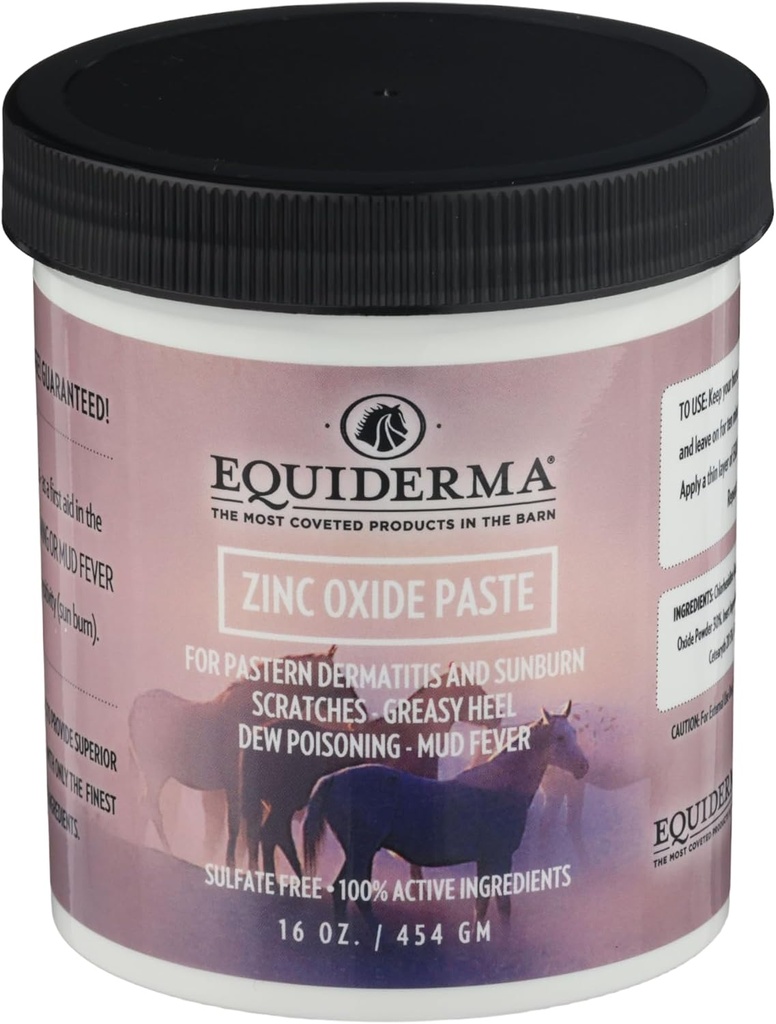 말, 16 온스를 위한 Equiderma 아연 산화물 페이스트 | Pastern Dermatitis, Scratches & Sunburn | 방어적인 물 저항하는 장벽 & UV 방패 | Equine 피부 처리