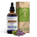 Tribe Bugleweed Tincture 알코올 무료 액체 추출물의 비밀, USDA 유기 Bugleweed (Lycopus Virginicus) 건조 허브 (4 FL OZ)