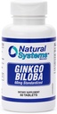 Ginkgo Biloba 60 mg 천연 시스템 60 정제 - Gingko Biloba Powder Brain Supplement - Ginkgo Biloba Concentration Supplements - 남성과 여성을위한 메모리 비타민 - Boost Energy Supplements