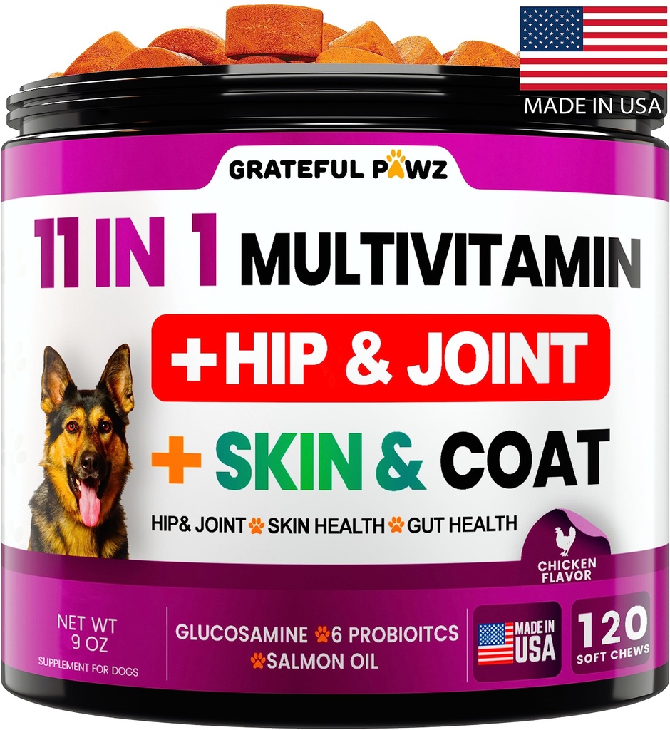 Glucosamine - 개 비타민 및 보충제, 개를위한 수석 및 강아지 Multivitamin - 애완 동물 Chondroitin Hip 및 합동 지원 건강, 면역 부스터, 피부, 심장, Probiotics