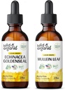 야생 & 유기 Echinacea 황금 염 Tincture 2 fl oz & Mullein Tincture 2 fl oz