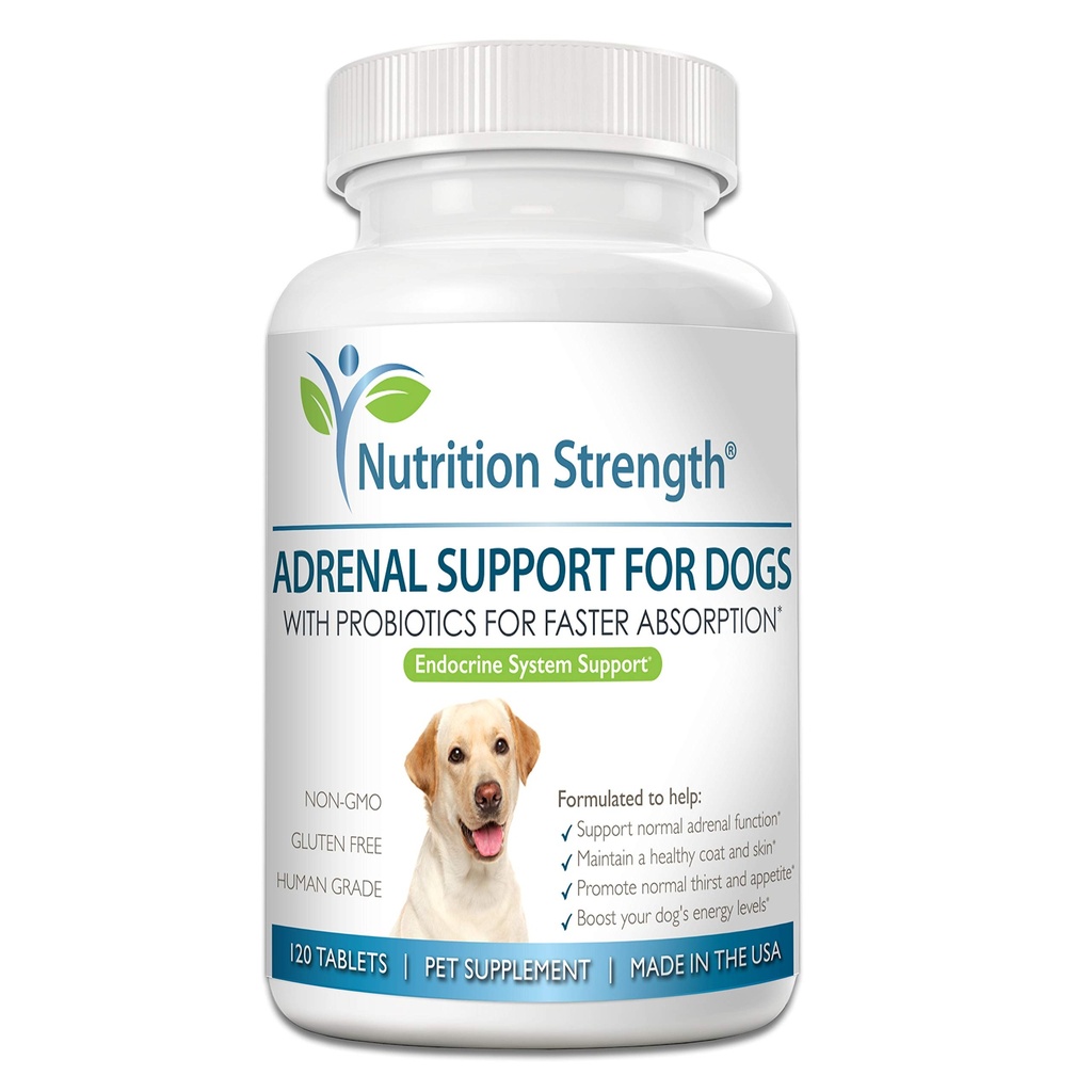 개를 위한 Adrenal 지원, Cushing의 질병을 가진 개를 위한 지원은, 건강한 외투 및 피부를 유지하고, 정상적인 Urination, Thirst 및 Appetite, 120 Chewable 정제를 승진시킵니다