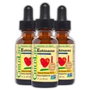 아이를 위한 CHILDLIFE ESSENTIALS Echinacea - 아이 Echinacea 하락, 액체 Tincture의 아기, 유아, 아이들을 위한 알콜 자유로운 보충교재 - 자연적인 오렌지, 1개 Fl Oz (포장 3)