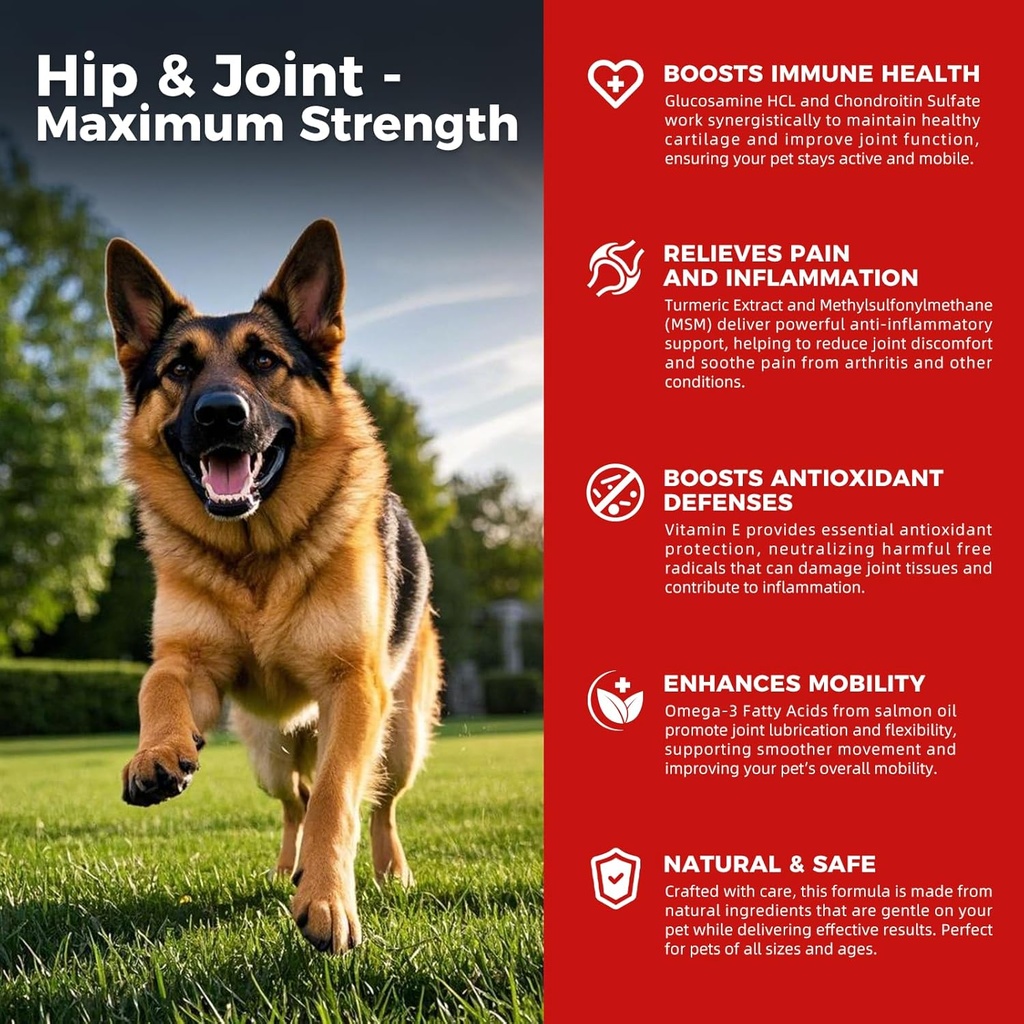 개 힙 및 관절 보충 - 개 통증 완화 Glucosamine, Chondroitin, MSM, Turmeric, 비타민 E, 오메가 3과 염증 - Hip Dysplasia, 관절염 치료 - 모든 큰 작은 중간 Breed