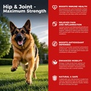 개 힙 및 관절 보충 - 개 통증 완화 Glucosamine, Chondroitin, MSM, Turmeric, 비타민 E, 오메가 3과 염증 - Hip Dysplasia, 관절염 치료 - 모든 큰 작은 중간 Breed