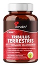 Amalth Tribulus Terrsestris, 20 : 1 추출물, Ashwagandha, Saw Palmetto, Shilajit 120 캡슐