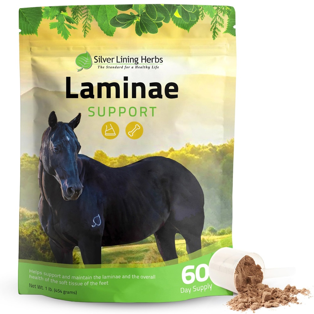 Silver Lining Herbs Laminae 지원 말은 말에 대한 Laminitis & Founder 지원을 보충합니다 - Mobility, Sore feet, Soft Foot Tissue & Better Coat - 말을위한 초본 Hoof 보충제 - 1 LB