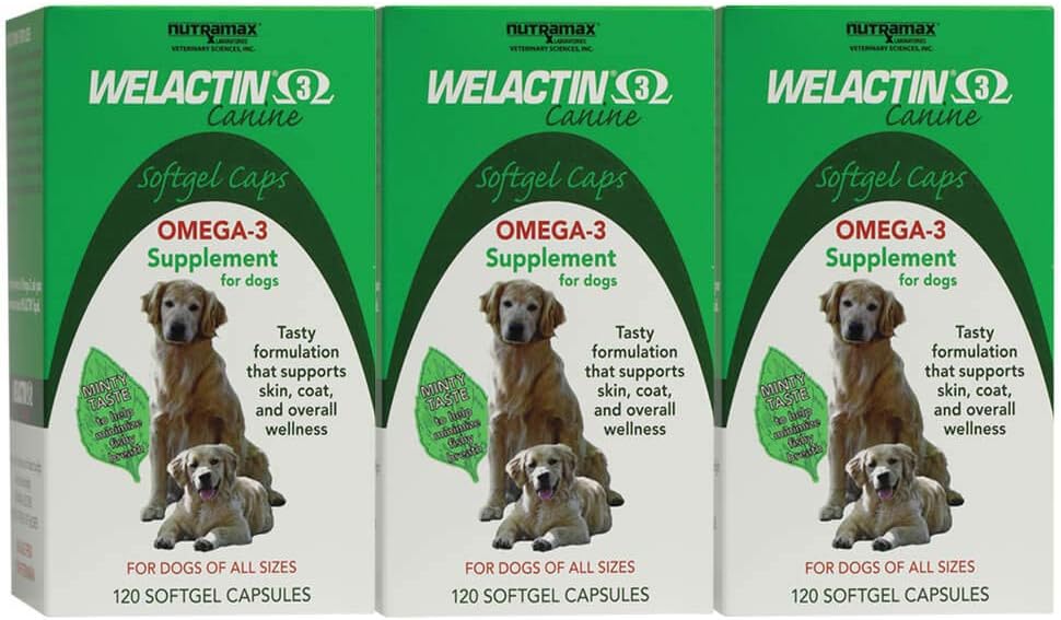 Nutramax Welactin Omega-3 물고기 기름 피부와 외투 건강 보충교재 개를 위한 액체 - 3 팩, 360 총 Softgels