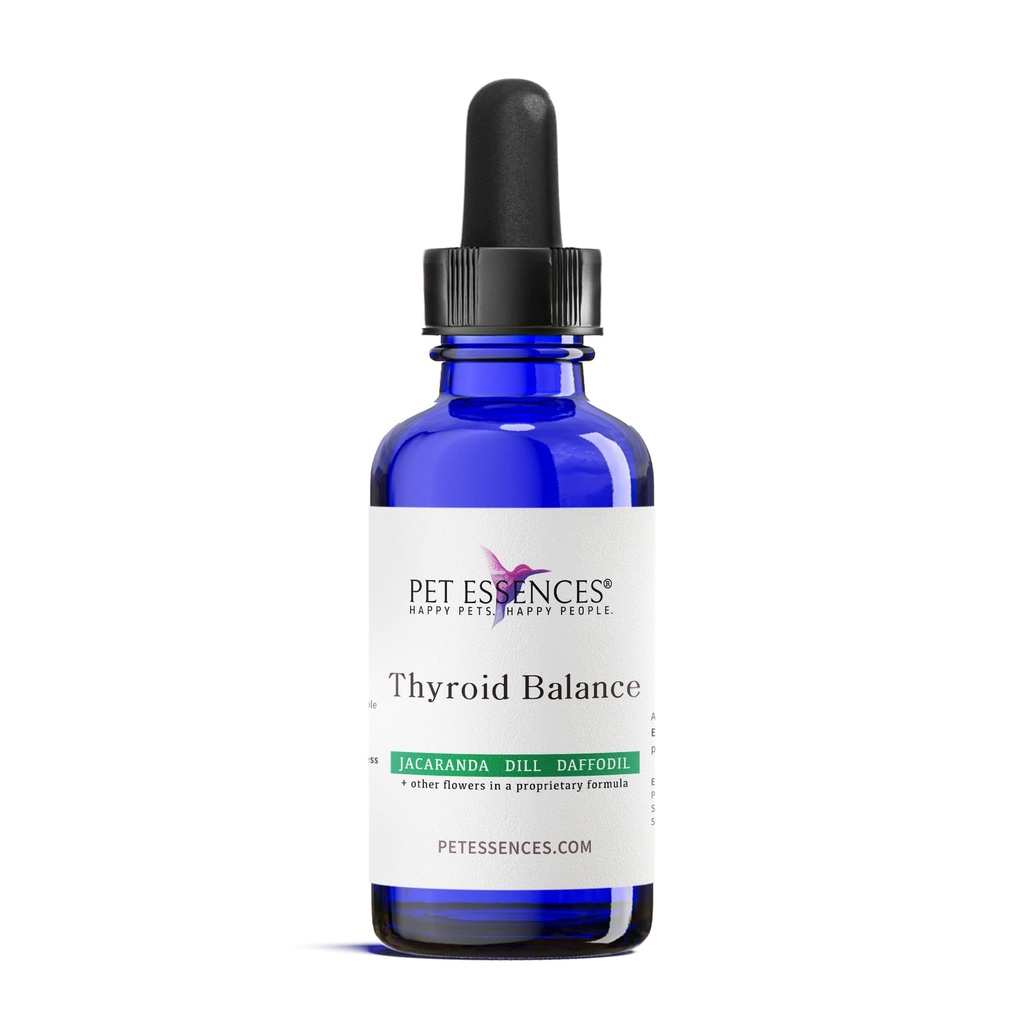 갑상선 지원 보충교재, 1oz - 개를 위한 액체 꽃 본질, 고양이 & 말은, Thyroid 균형 & 감정적인 웰니스를 승진시킵니다 - 모든 Breeds를 위한 안전한, 사용하기 쉬운 공식