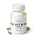 체어 비타민 B 복합 보충 | 113.5mg B1, B2, B3, B6, B12를 가진 B 비타민을 완전하게 하십시오 | 뇌를 위한 높은 흡수 Vegan B 복합체, Nerve & 면역 지원 | Non-GMO, DRcaps® Plus | 60 캡슐