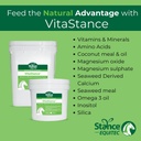 Stance Equitec VitaStance 비타민, 미네랄 및 아미노산 보충, 28.5 lb