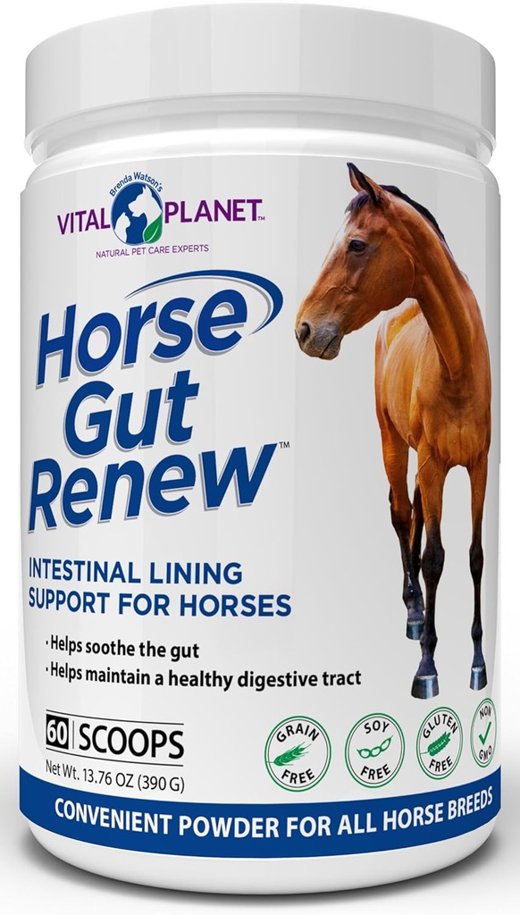 바이탈 플래닛 - 말 Gut Renew Intestinal Lining Support for Horse 13.76oz, 60 Scoop