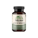 TERRA ORIGIN 건강한 마음과 기억 지원 보충교재 | 인지 기억 모체 | Nootropic CDP, Bacopa, L-Tyrosine, Huperzine A, Ginko, B12 | 비 GMO, 글루텐 프리, 낙농장 무료 | 30 캡슐