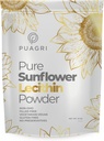 순수한 해바라기 Lecithin 분말