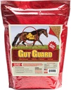 Equine Gut Guard 10 lb, Probiotic 및 Prebiotic 말은 Gut 건강을 위해 보충합니다