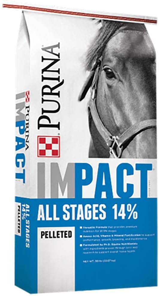 Purina | 모든 단계 14 펠렛 말 피드 | 50 파운드 (50 LB) 가방