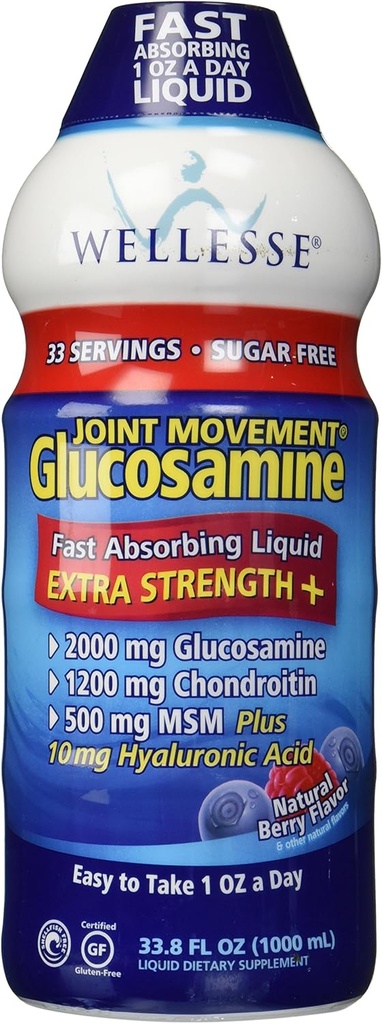 Chondroitin & Msm 33.8 fl oz (1000 ml)를 가진 Wellesse 합동 운동 글루코사민