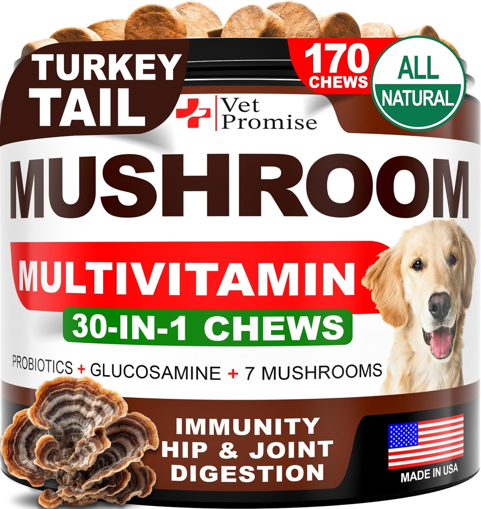 개를위한 버섯 - 170 Chews - 터키 꼬리 - 개를위한 버섯 보충 - 사자 Mane - Reishi - 면역 지원 Multivitamin 비타민 - 관절 건강 - 에너지 - Gut - 피부 - 미국에서 만든