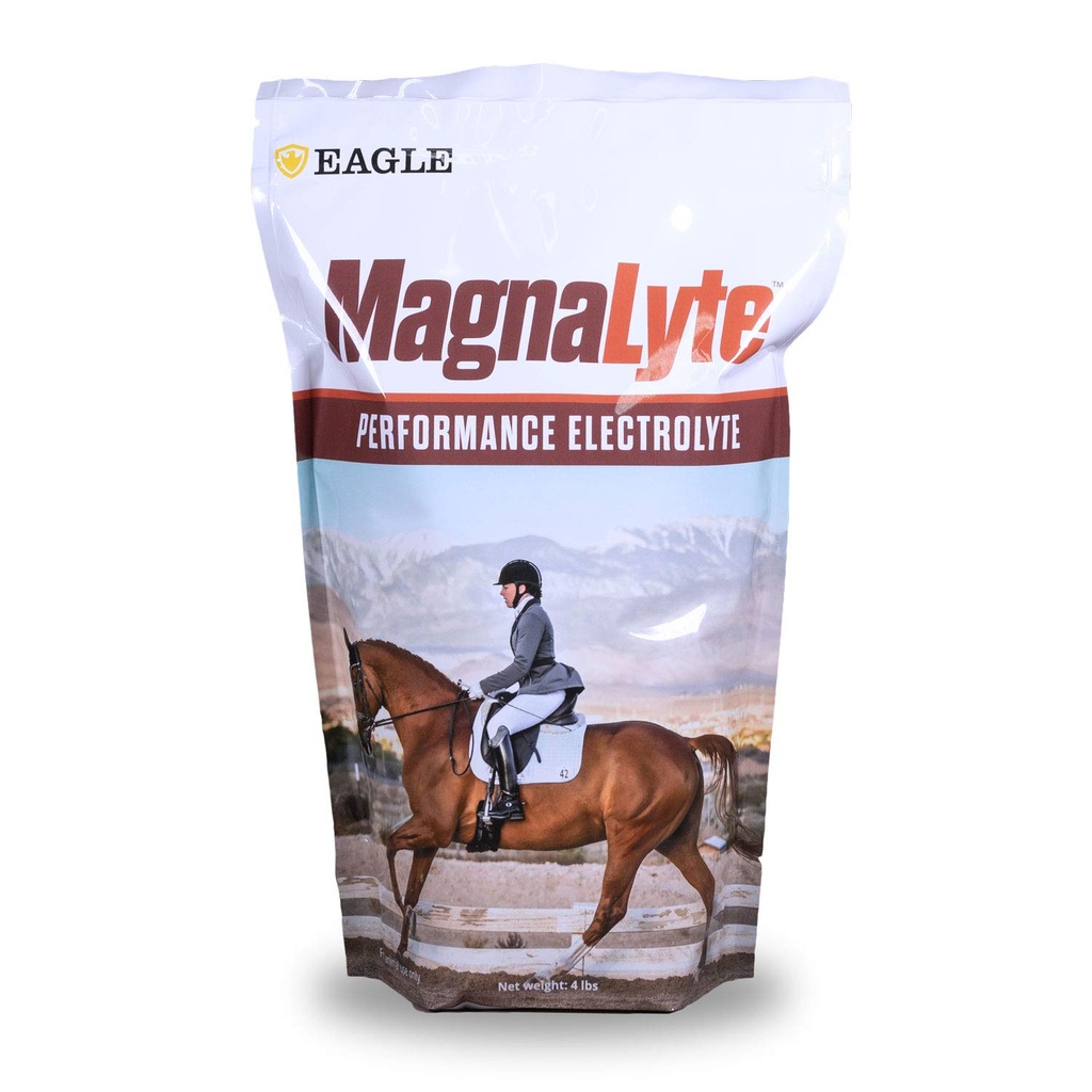 MagnaLyte 느슨한 소금과 이 글 Equine의 말에 Electrolytes | 미네랄 바다 소금, Trace 미네랄, 일렉트로트 | 4 lb Bag