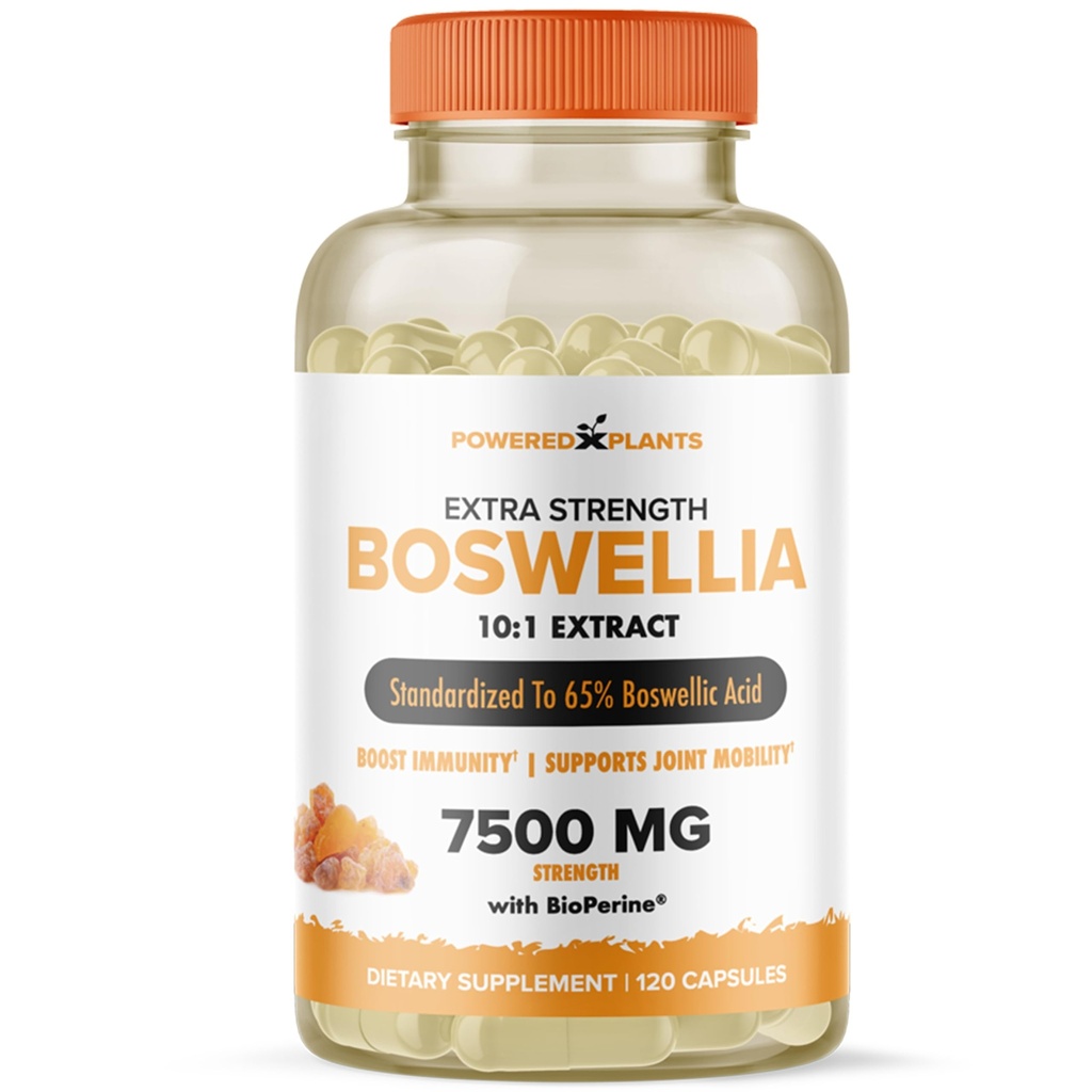 식물에 의해 구동되는 Boswellia Serrata 추출물 합동 지원 보충교재 – BioPerine를 가진 65% 높은 Potency Boswellic 산 – Immunity, Mobility & Flexibility – 120 Vegan 캡슐을 지원합니다