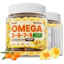 오메가 3-6-7-9 Gummies, 유기 바다 Buckthorn 기름 1200MG & Flaxseed 기름 500MG, Vegan 오메가 7 보충교재 w/Vitamin A, C, E의 지방산, 물고기 맛, 지원 피부, 눈, 면역, 두뇌 건강, 60 Cts