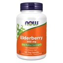 지금 식품 보충제, Elderberry (Sambucus nigra) 500 mg, 10 : 1 농축액, 120 Veg 캡슐