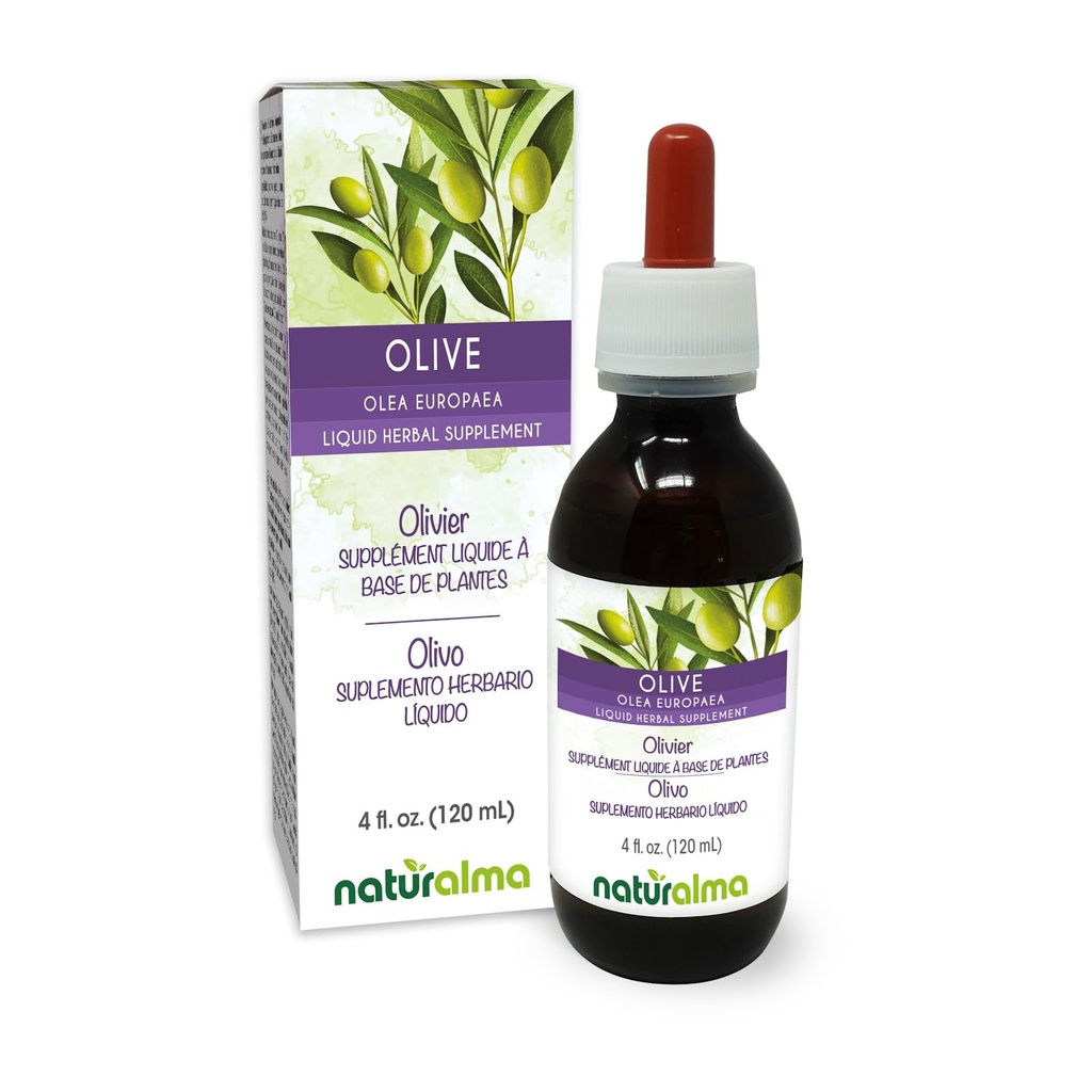 Naturalma Olive (Olea Europaea) 잎 알코올 - 무료 탄약 - 드롭 4 fl oz 액체 추출물 - 초본 보충 - Vegan