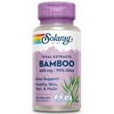 SOLARAY Bamboo Stem Extract 600mg | 건강한 모발, 피부, 손톱, 뼈 및 연결 조직 지원 | Non-GMO, Vegan & Lab Verified | 60 VegCaps
