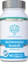 Saccharomyces Boulardii 5 Billion CFU 90 캡슐 - 요구되는 냉각 없음 - synergistic 올리브 잎, Biotin 및 비타민 D3를 가진 고강도 비 입히는 효모
