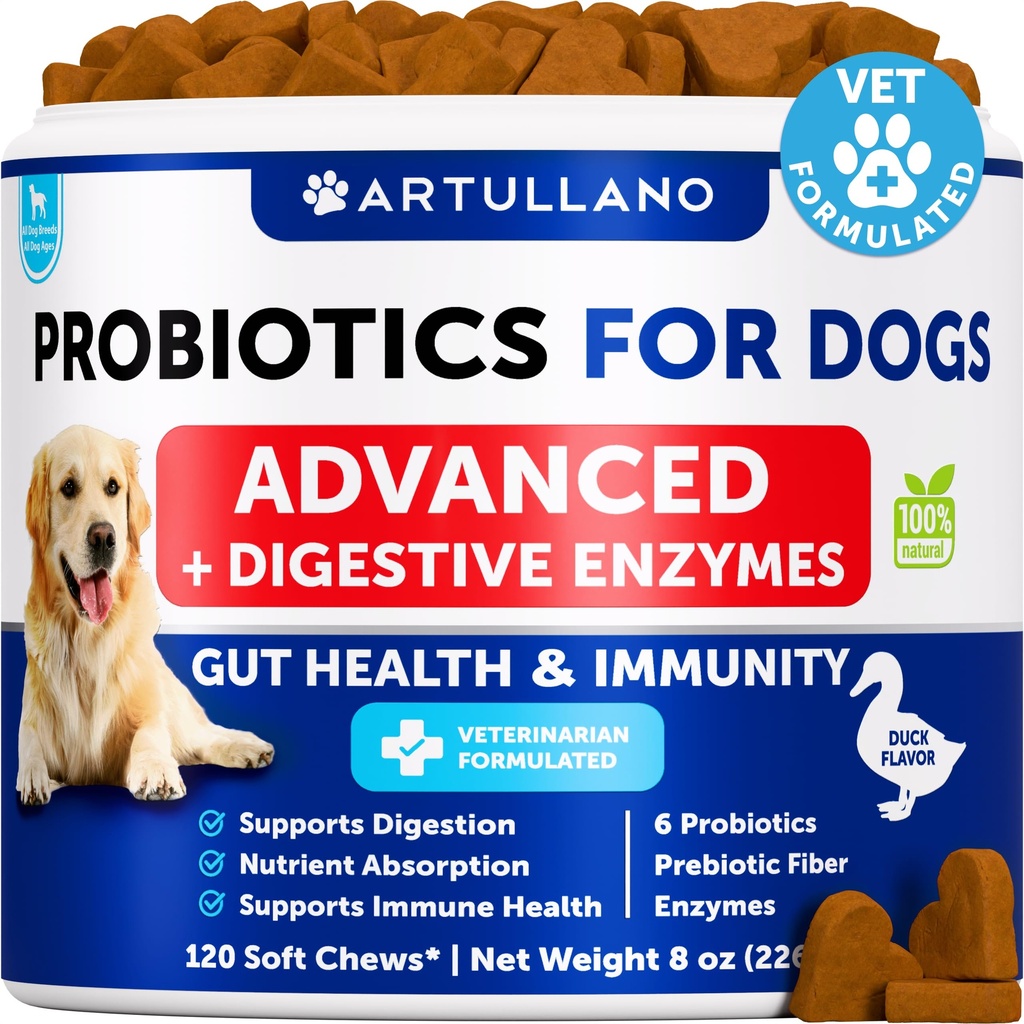 개를위한 Probiotics - 지원 계피 건강, 가려운 피부, 알레르기, 면역, 효모 균형 - 개 Probiotics 및 소화 효소 Prebiotics - Diarrhea, 가스 감소 - 개를위한 120 Probiotic Chews