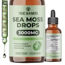 TrueSeaMoss 3000mg 아일랜드어 Sea Moss Drops with Burdock Root & Bladderwrack for Digestive System & Muscle Recovery Support - 2 Fl Oz Apple NW1