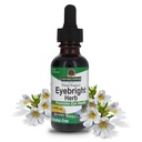 자연의 답변 Eyebright 허브 | 건강한 눈과 비전 지원 | Non-GMO | 알코올 프리, 글루텐 프리, 코셔 인증, 비건 & 보존 1oz