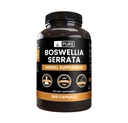 순수한 본래 성분 Boswellia Serrata (365의 캡슐) 마그네슘 또는 밥 충전물 없음, 항상, 확인되는 실험실