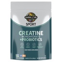 Creatine Monohydrate Powder for Women and Men by Garden of Life, 근육, 힘, 성능, 스포츠 아미노산 에너지를위한 Probiotics와 Micronized Pre Workout, 약 60 쉬운 혼합 Unflavored 서빙