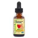 CHILDLIFE ESSENTIALS Echinacea for Kids - 아이 Echinacea Drops, 액체 Tincture, 아기를위한 알코올 무료 보충, 유아, 어린이 - 자연 오렌지, 1 Fl Oz (패킹 1)