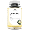 자연 복원 S.O.D. Superoxide Dismutase 보충, 4,000 IU SOD-Like 활동, Vegan, 90 캡슐, 비 GMO, 글루텐 무료
